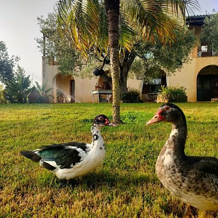 La Finestra Sul Limone Bed & Breakfast Castelvetrano Екстериор снимка