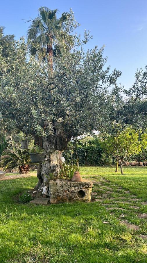 La Finestra Sul Limone Bed & Breakfast Castelvetrano Екстериор снимка