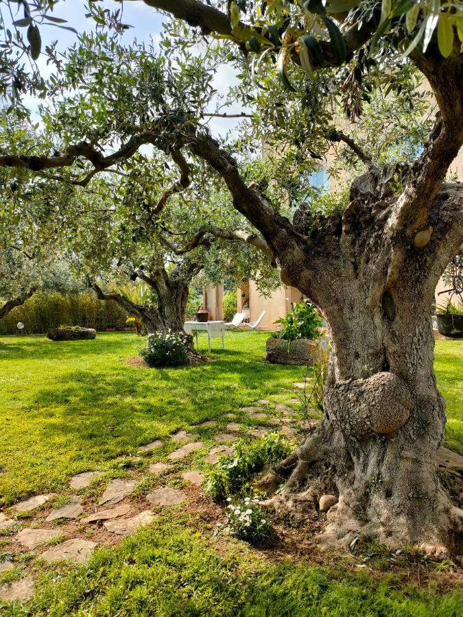 La Finestra Sul Limone Bed & Breakfast Castelvetrano Екстериор снимка