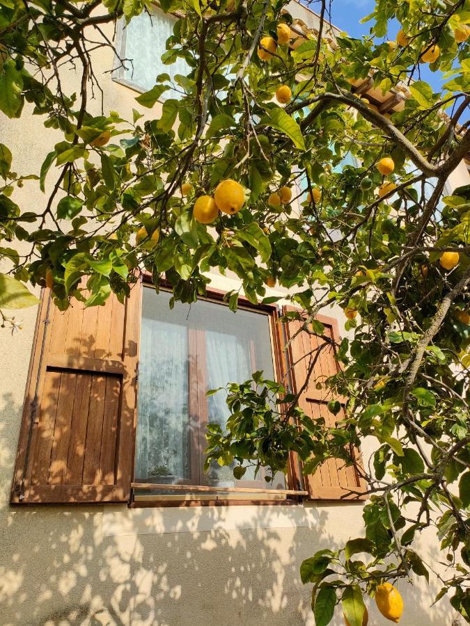 La Finestra Sul Limone Bed & Breakfast Castelvetrano Екстериор снимка
