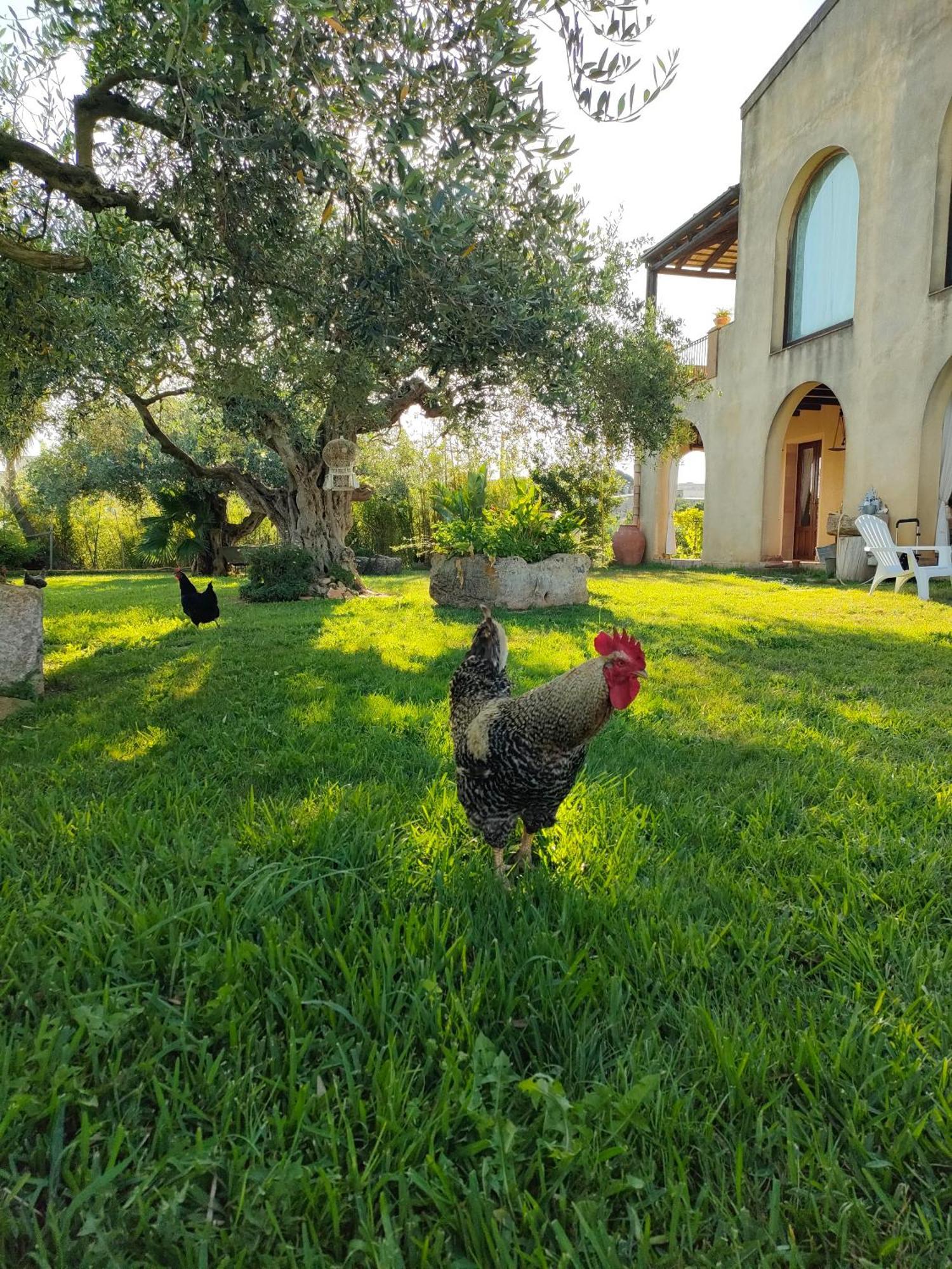 La Finestra Sul Limone Bed & Breakfast Castelvetrano Екстериор снимка