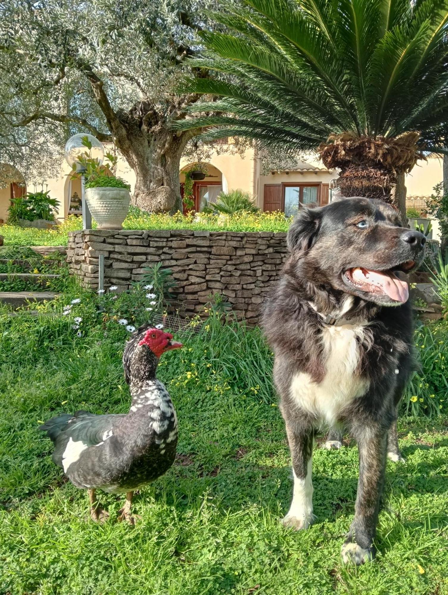 La Finestra Sul Limone Bed & Breakfast Castelvetrano Екстериор снимка